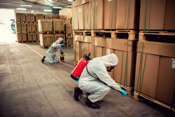 Best Rat Extermination Near Me  in Flatwoods, KY