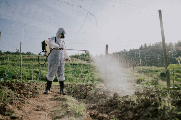 Best Local Pest Control Services  in Flatwoods, KY