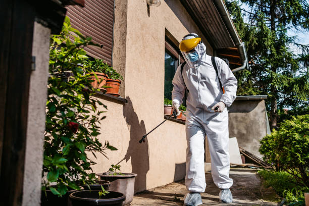 Best Affordable Pest Control Services  in Flatwoods, KY