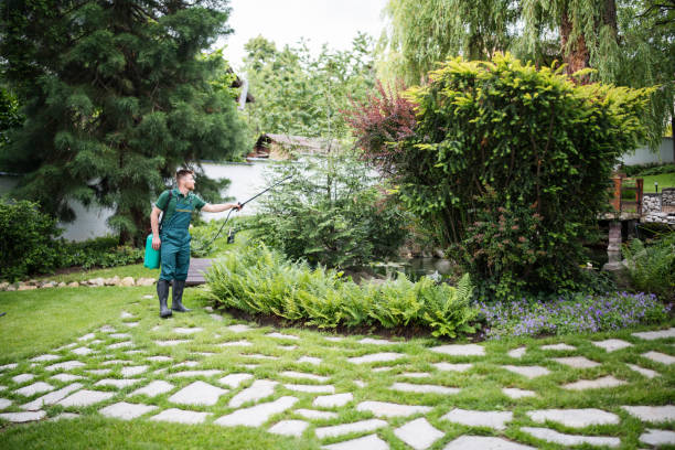 Best Pest Prevention Services  in Flatwoods, KY