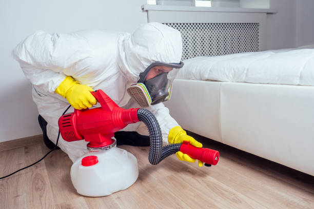 Best Affordable Pest Control Services  in Flatwoods, KY