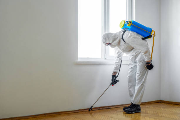 Best Exterminator Services  in Flatwoods, KY
