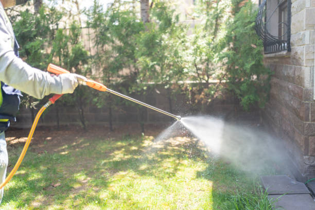 Best Commercial Pest Control Services  in Flatwoods, KY