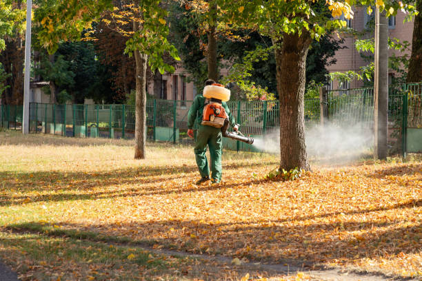 Trusted Flatwoods, KY Pest Control Experts