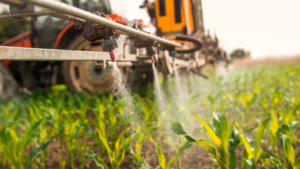 Best Best Pest Control Companies  in Flatwoods, KY